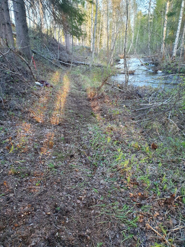 Stigen mellan "Naimas tvättplats" och "Thors källa" (jpg).