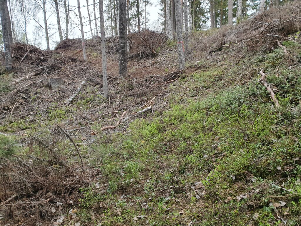 Stigen uppför branten nedanför Bergners uthus (jpg).