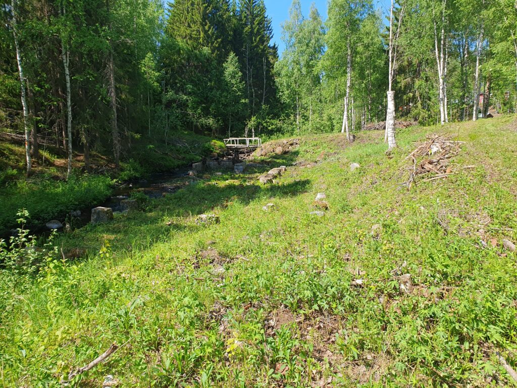 Sågplatsen efter gallring och röjning (jpg).