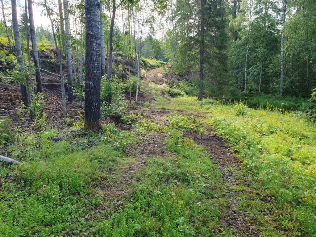 Traktorvägen söder om Grillplatsen (jpg).