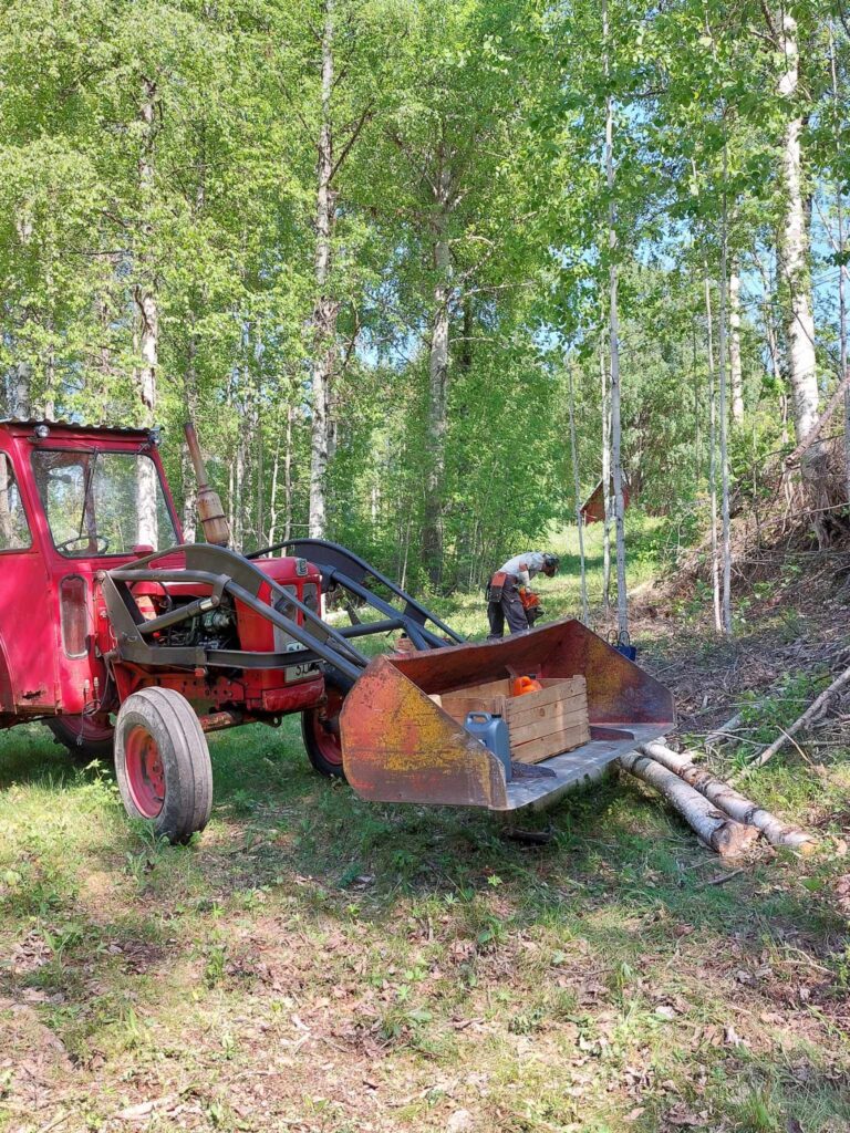 Arbetsdag i Såggrubba sommaren 2024.