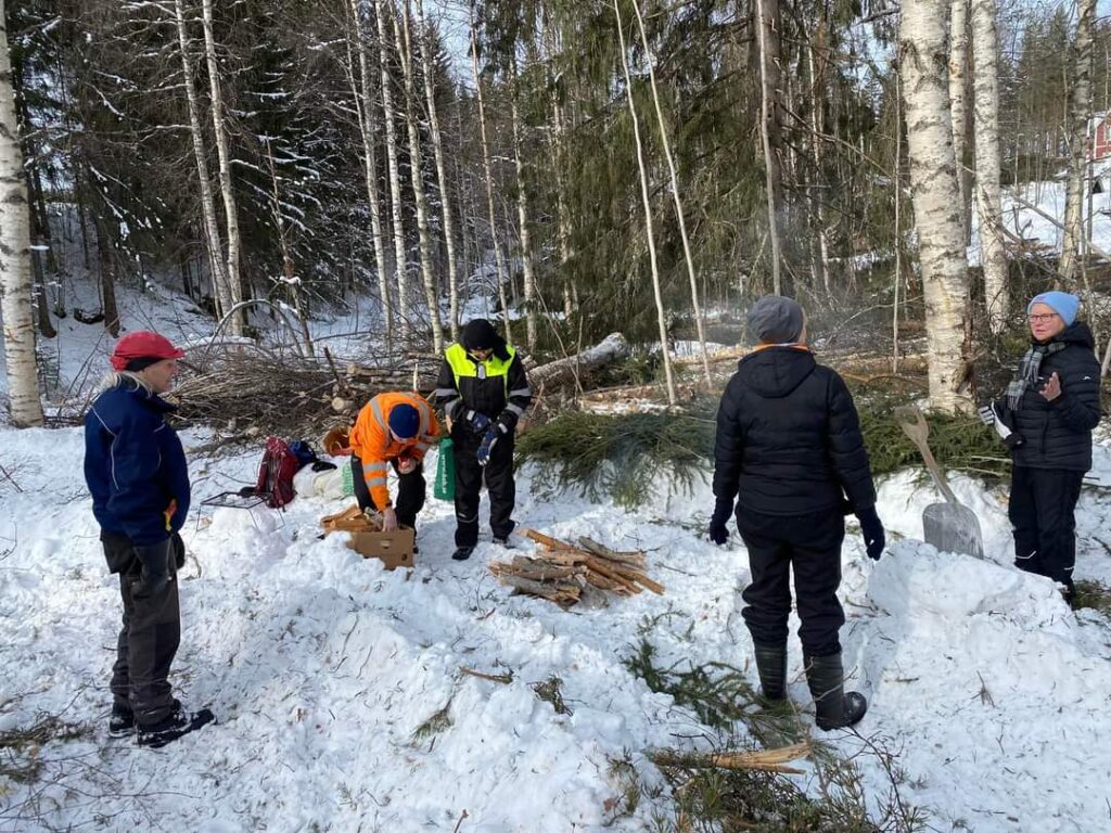 Gallring på östra sidan (jpg).