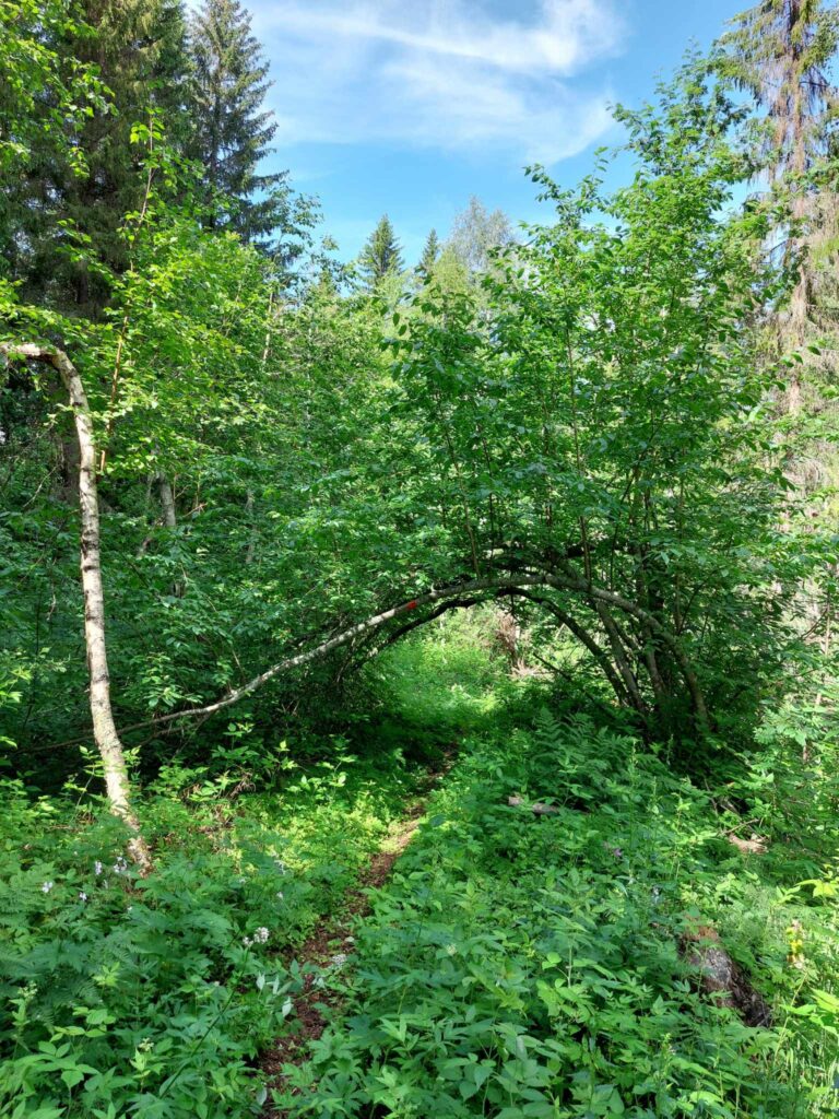 Häggportalen på Mittiholmen i Såggrubba.