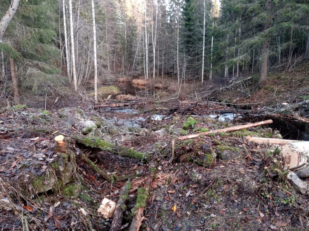 Röjning av Kvarnplatsen.