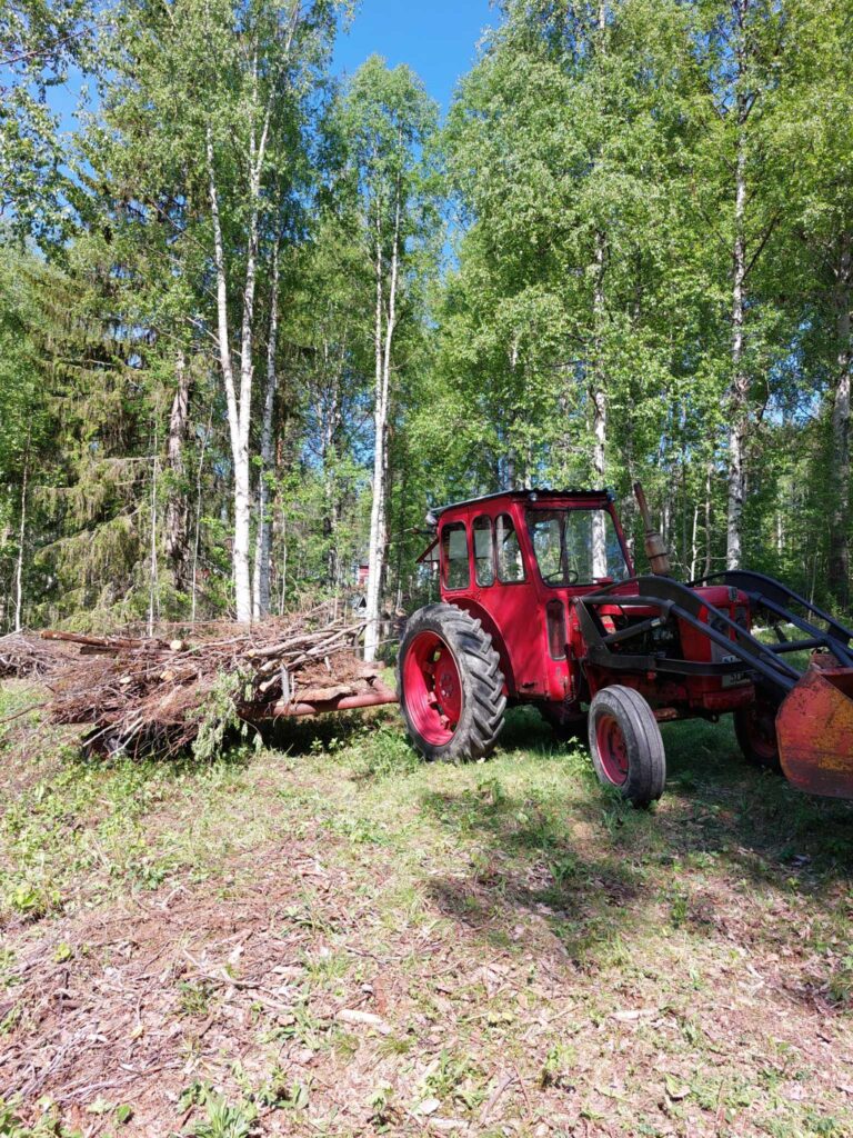 Risdragning i Såggrubba.